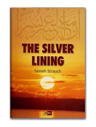 The Silver Lining