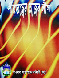 পীরতন্ত্রের আজবলীলা