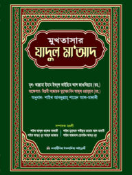 মুখতাসার যাদুল মাআদ