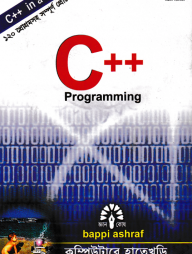 সি প্লাস প্লাস প্রোগ্রামিং