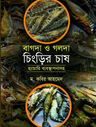 বাগদা ও গলদা চিংড়ি চাষ