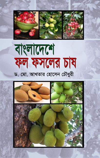 Porno korgazma ishtirokchilari