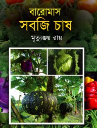 বারোমাস সবজি চাষ