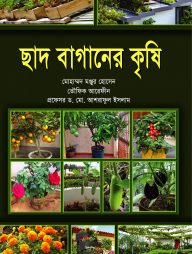 ছাদ বাগানের কৃষি