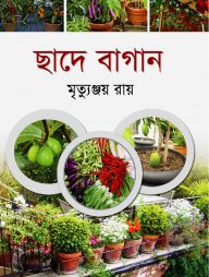 ছাদে বাগান