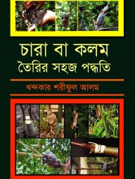 চারা বা কলম তৈরির সহজ পদ্ধতি