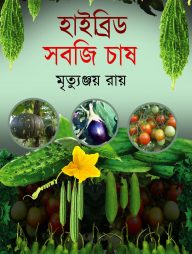 হাইব্রিড সবজি চাষ