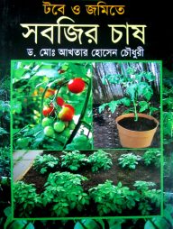 টবে ও জমিতে সবজির চাষ