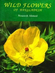Wild Flowers of Bangladesh