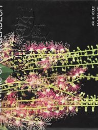 বাংলাদেশের ফুল