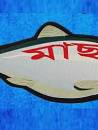 মাছ