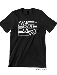 T-Shirt : NTH19 Awesome Everyday