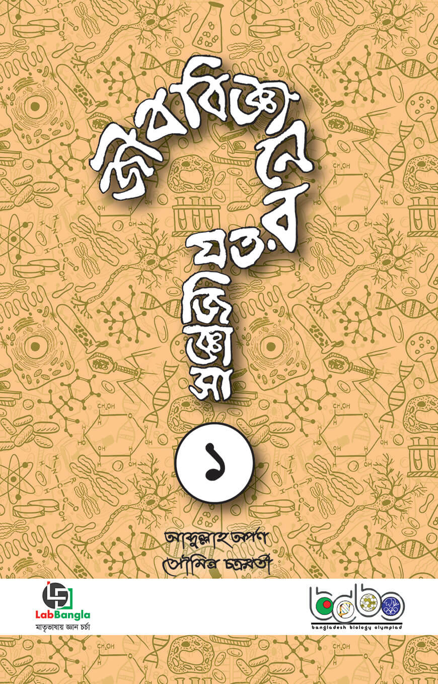 Ajoyib yosh juftlik toshakda kunnilingusga ega Ajoyib yosh juftlik toshakda kunnilingusga ega