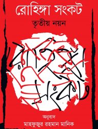 রোহিঙ্গা সংকট তৃতীয় নয়ন