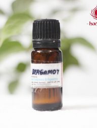 Bergamot Oil (10ML)