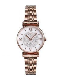 Skmei Ladies’ Quartz Stainless Steel Watch 1533RG