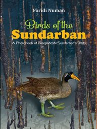 Birds Of The Sundarban