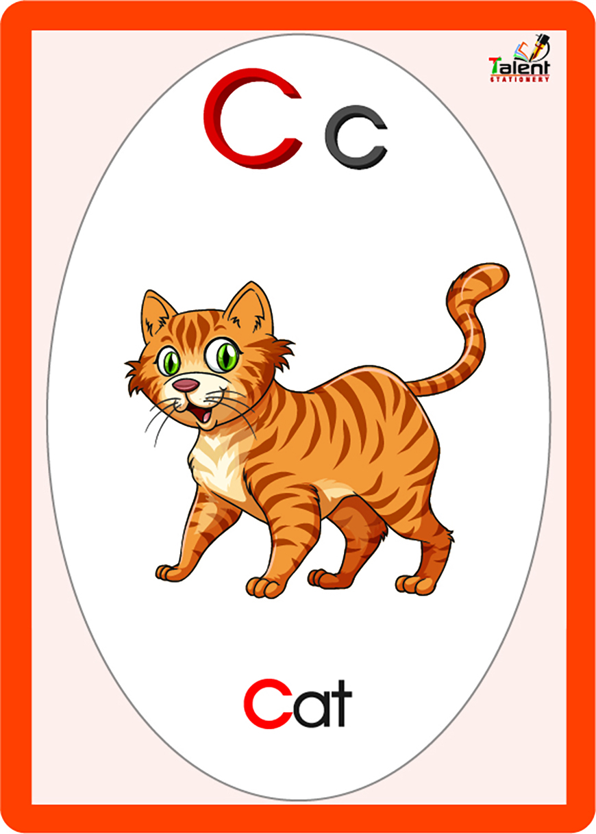 Asset 5@3x-100aa-min