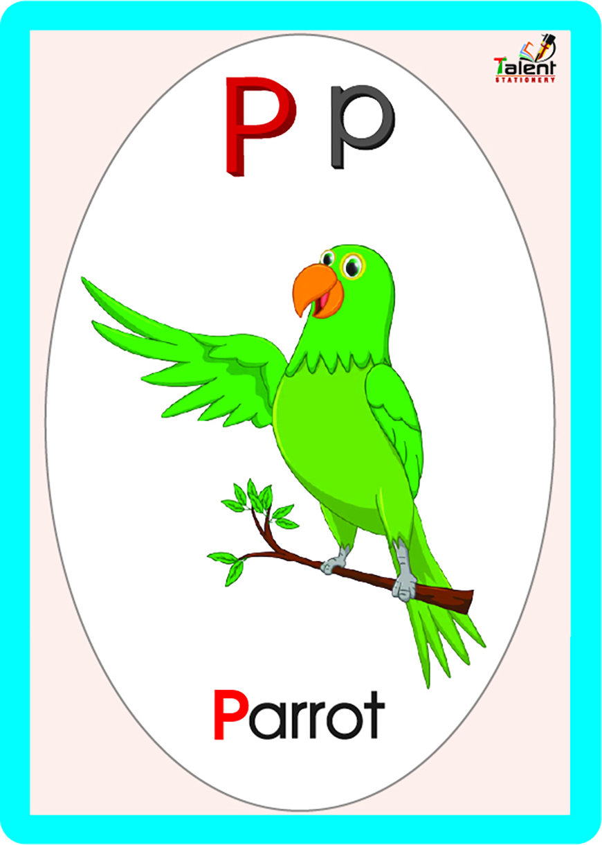 Asset 9@3x-100aa-min