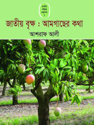 জাতীয় বৃক্ষ : আমগাছের কথা