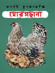 মোরগছানা