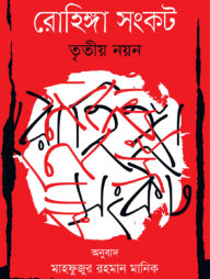 রোহিঙ্গা সংকট : তৃতীয় নয়ন