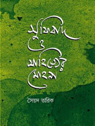 সুফিবাদ ও সাহিত্যের মোহনা