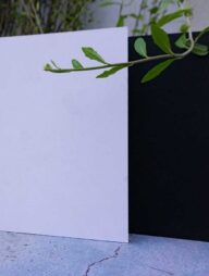 Executive Series Black &amp; White Cover Spiral Notebook 2-Pack