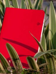 Pocket Book Red Notebook