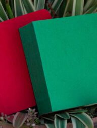 365 Days Green &amp; Red Cover Notebook 2-Pack