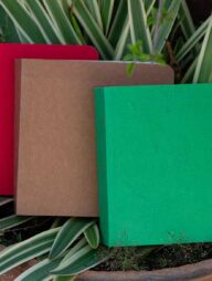 365 Days Green Red and Kraft Cover Notebook 3-Pack