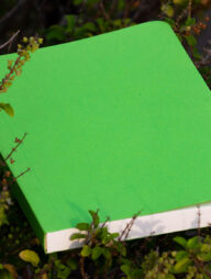 Tent Series Green Cover Notebook