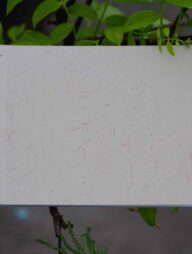 Landscape Series Texture Cream Notebook (Premium Bianco Paper for Artist)