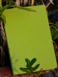 Explorer Notebook (Jute Handmade Green Board Cover)