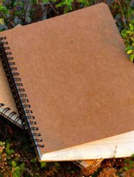 Designer Series Dot-Grid &amp; Daily Journal Notebook 2-Pack