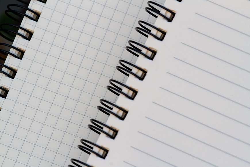 Designer Series Graph/Grid & Daily Journal Notebook 2-Pack | Wafilife