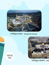 Three Great Mosqe Puzzle