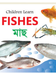 Children Learn Fishes