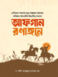 আফগান রণাঙ্গনে