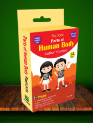 Human Body Flashcards