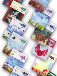 মাসিক আল কলম পুষ্প : তৃতীয় প্রকাশনা ১-১২