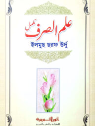 ইলমুস সরফ (কম্পিউটার)