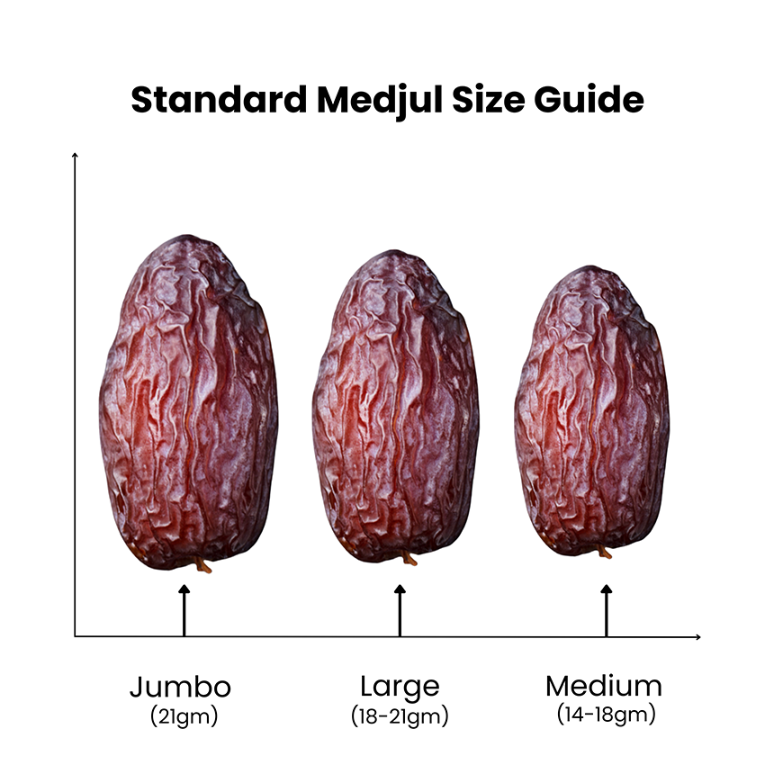 All size weight _20250210_231858_0000