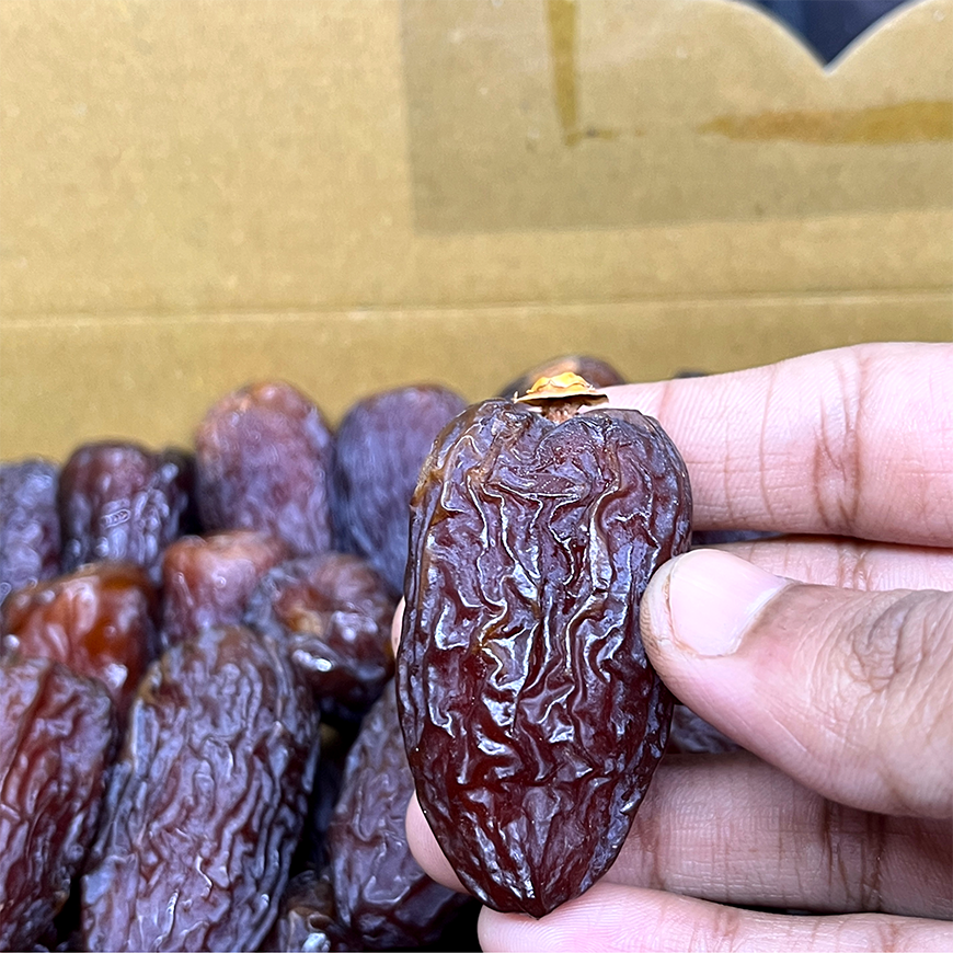 Copy of Medjul Image