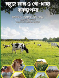 সবুজ ঘাস ও গো খাদ্য ব্যবস্থাপনা