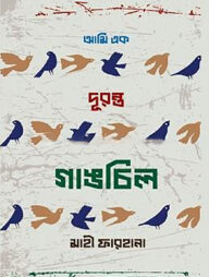 আমি এক দুরন্ত গাঙচিল