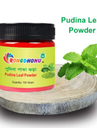 Rongdhonu Pudina Leaf Powder (পুদিনা পাতা গুড়া) 100 gram