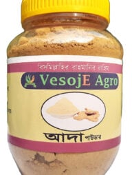 VesojE Agro Ginger Powder ( আদা গুড়া ) 100g
