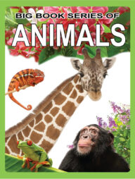 BIG BOOK SERIES OF ANIMAL