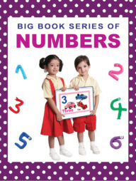 BIG BOOK SERIES OF NUMBER